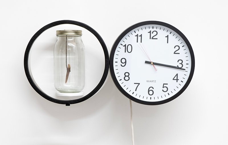 The clocks described below, one a fossil in a 2L mason jars mounted on small shelves behind a floating black circle, the other a quartz wall clock